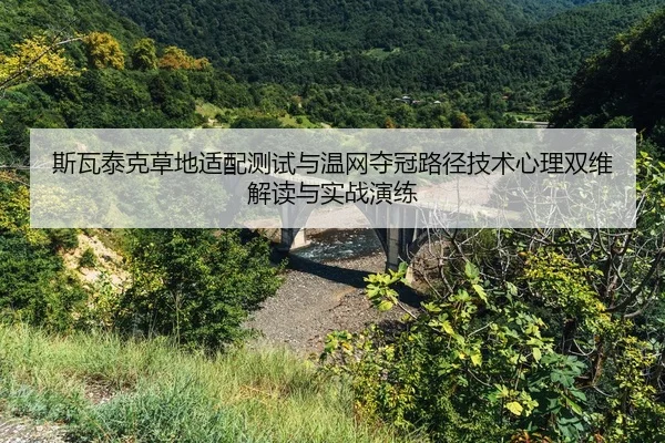 si-wa-tai-ke-cao-di-shi-pei-ce-shi-yu-wen-wang-duo-guan-lu-jing-ji-shu-xin-li-shuang-wei-jie-du-yu-shi-zhan-yan-lian-2-501.jpg